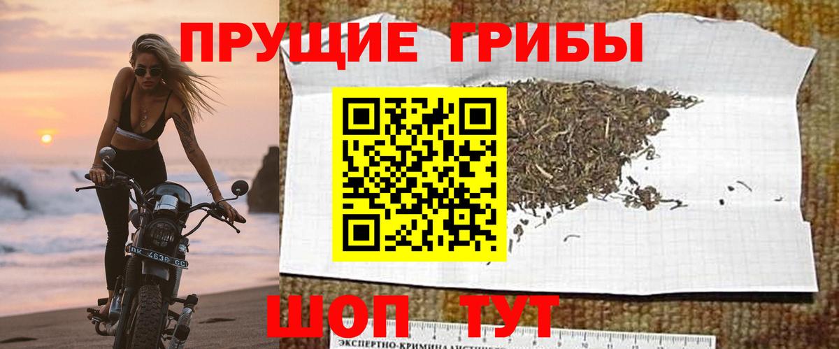 Псилоцибиновые грибы мухоморы Сибай