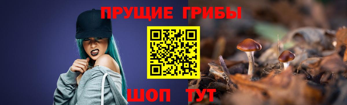 Сибай  Галлюциногенные грибы прущие грибы  наркотики  Вход с VPN 